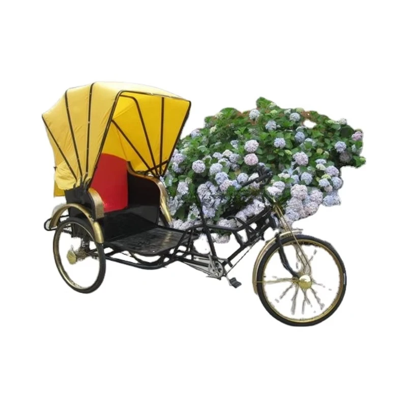 

Classic rickshaw metal pipe frame rickshaw