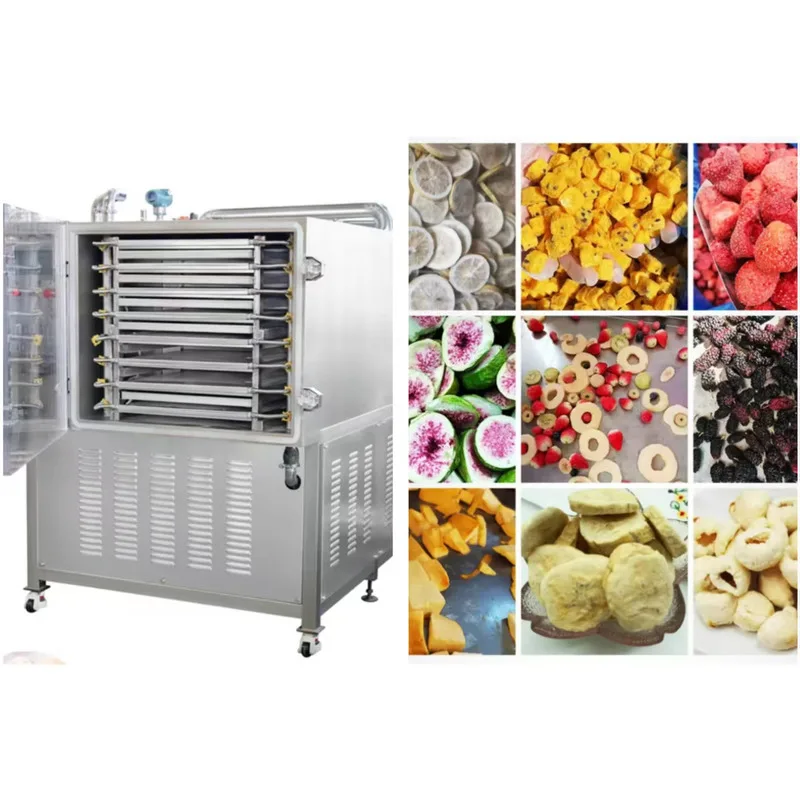 Industrial automatic freeze dryer, vacuum freeze dryer, dehydrator, food processing, candy, fruit, celery