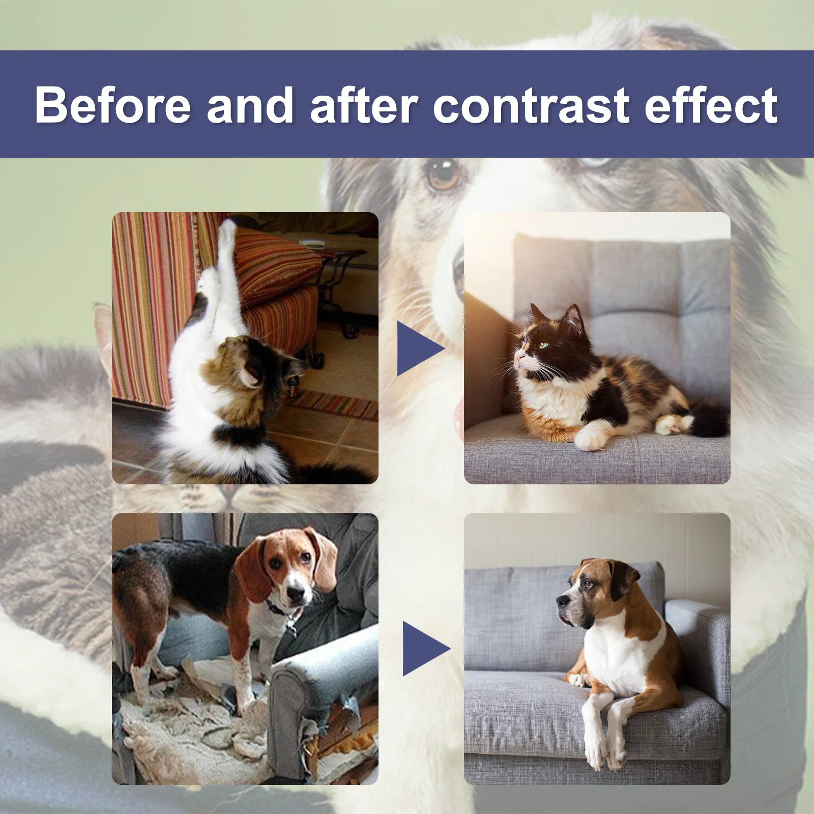 Pet Scratch Deterrent Spray Prevent Scratching Chewing Sofa Furniture Protector Bitter Anti Gnawing Cat Scratch Training Liquid