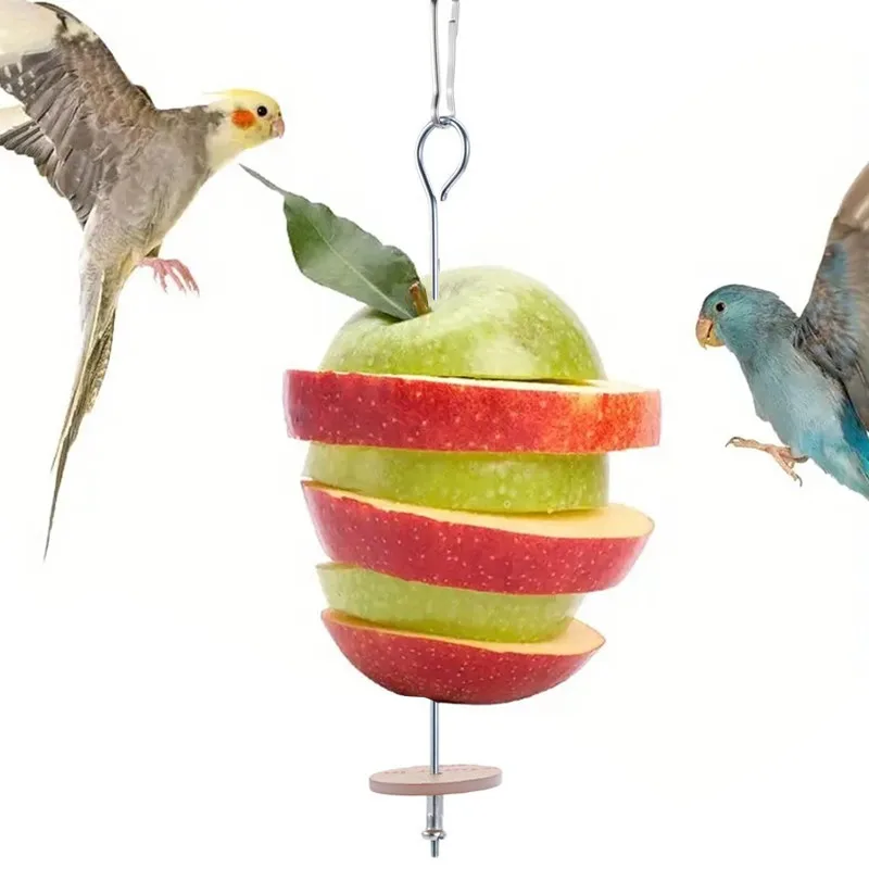 Stainless Steel Pet Parrots Birds Fruits Fork Bird Cage Food Holder Fruit Spear Stick Meat Fruit Vegetable Skewer Bird Supplies