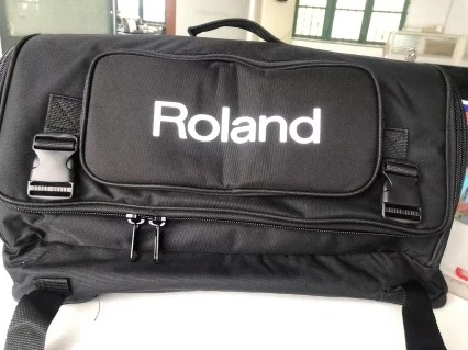 Thickened Roland EX Bag for Cube Street EX Speaker