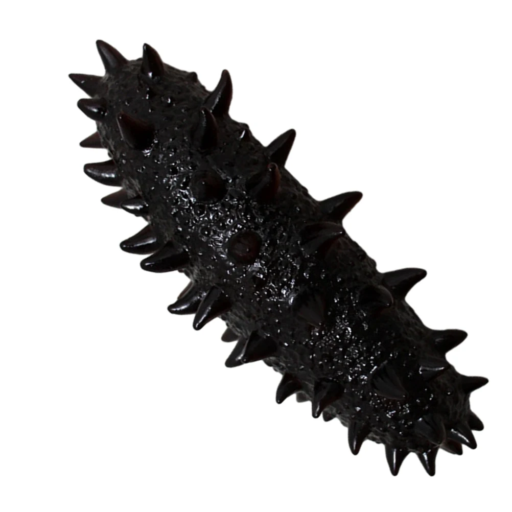 

Lifelike Artificial Sea Cucumber Simulation Food Fake Trepang Decorative Prop For Kitchen Home Office Restaurant Display Pvc