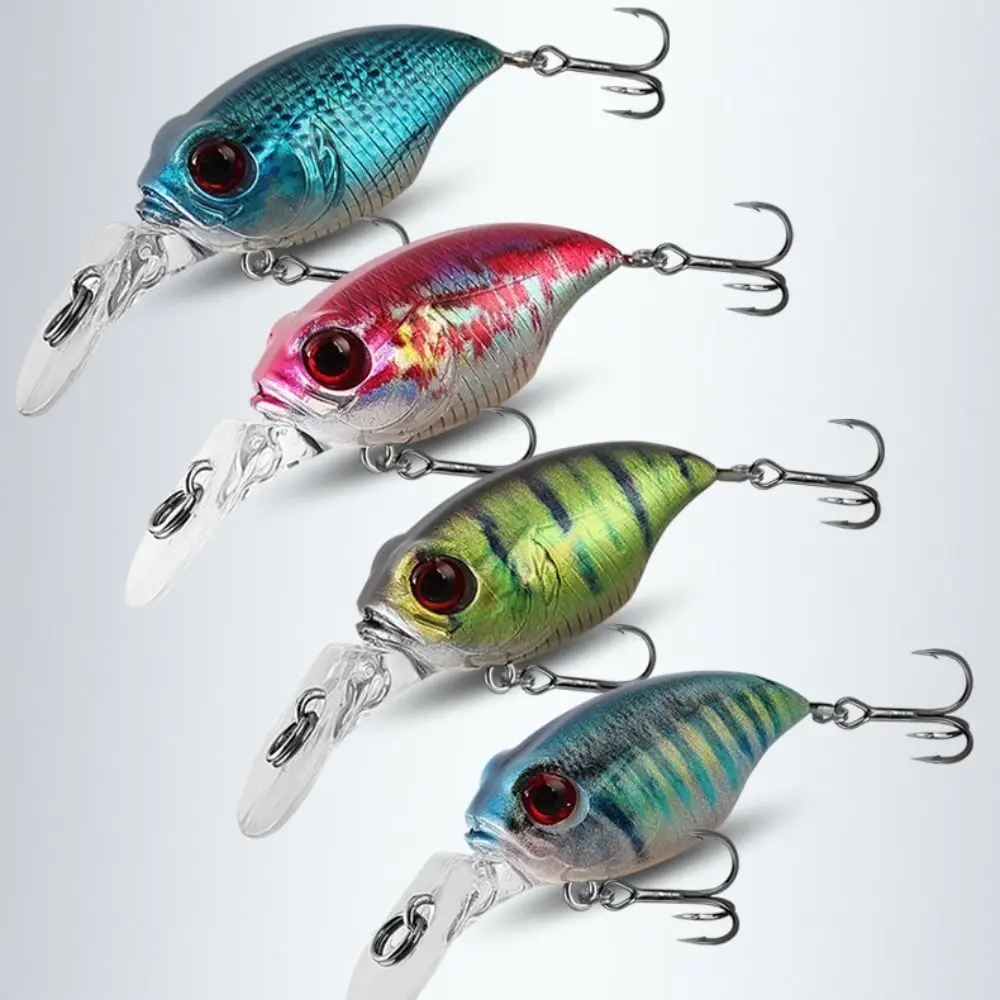 

New Plastic Fishing Lure 5.8cm 6g 3D Printed Floating Minnow Baits 5 Colors Minnow Lures Fishing
