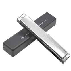 Swan Harmonica 24 fori armonica polifonica C chiave A/B/D/E/F/G/A #/C #/D #/F #/G # Professional Tremolo Harmonica per principianti