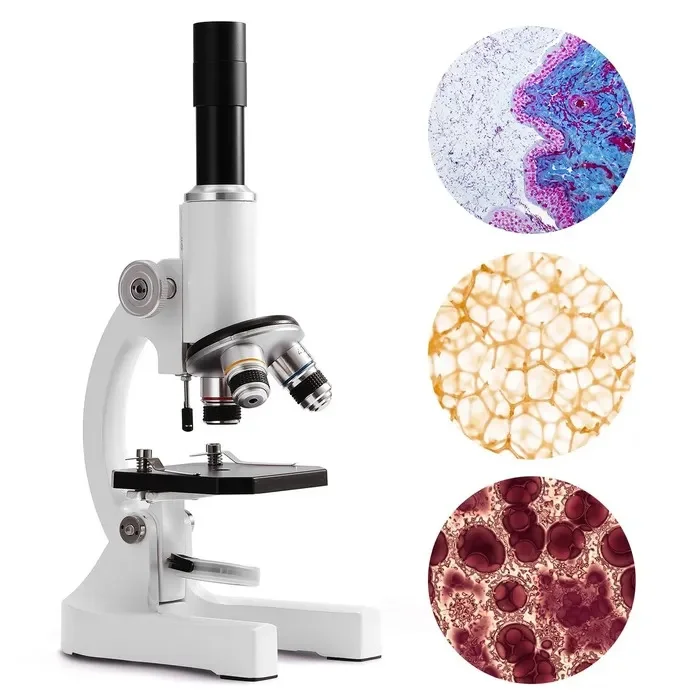 How to Use a Microscope: A Comprehensive Guide for Students and Enthusiasts