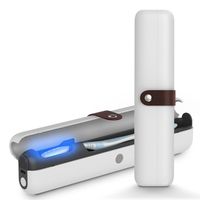 Portable Mini Toothbrush Sterilizer Cleaner Storage Cup Uv Light Sanitizer Rechargeable ABS Toothbrush Holder Travel