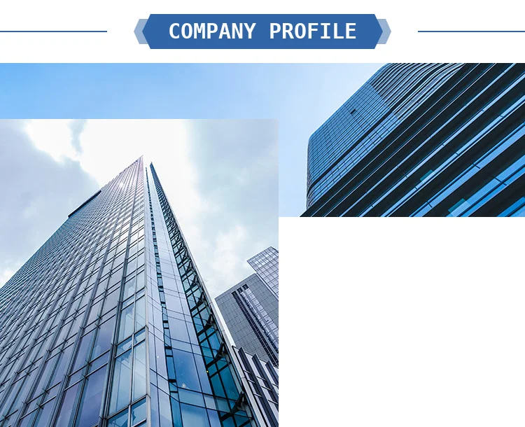 W3G910-GV02-01 ألمانيا نوع A3G910-AV02-02 حاوية مروحة سخان مراوح التدفق المظلي مروحة التهوية 	 أوبم 	 Ventilat الشمسية