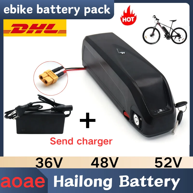 36V hailong battery 48V 20Ah battery with 30A BMS for 36V 48V 250W 350W 500W 750W 1000W power battery pack and come with charger