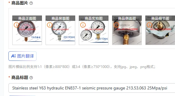 

Stainless steel Y63 hydraulic EN837-1 seismic pressure gauge 213.53.063 25Mpa/psi