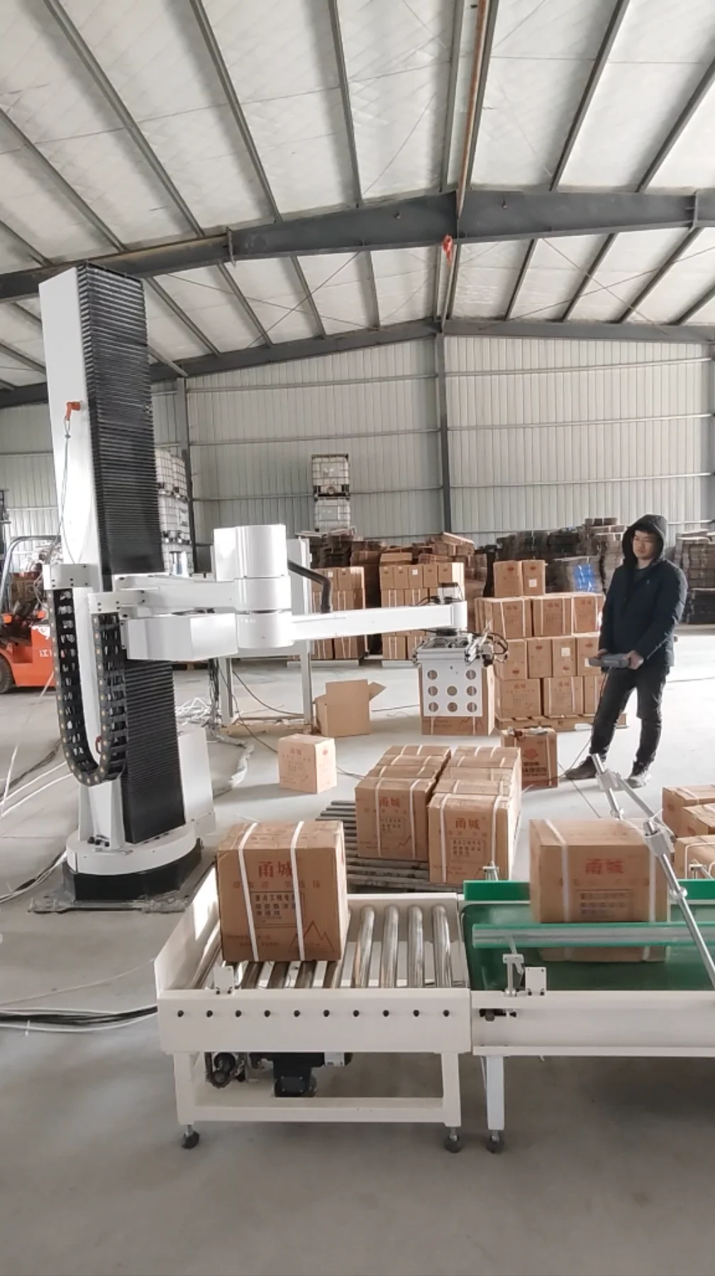 High-Speed Carton Palletizing - đánh giá và giá Robot Gripper