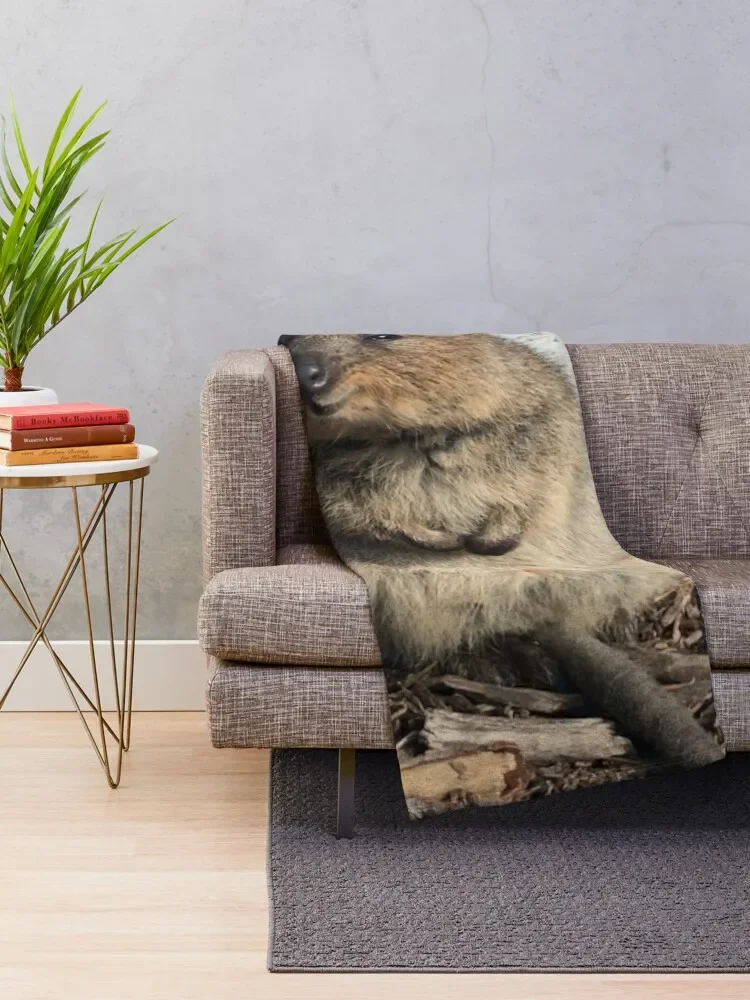 Quokka Throw Blanket Bed covers Large Blankets