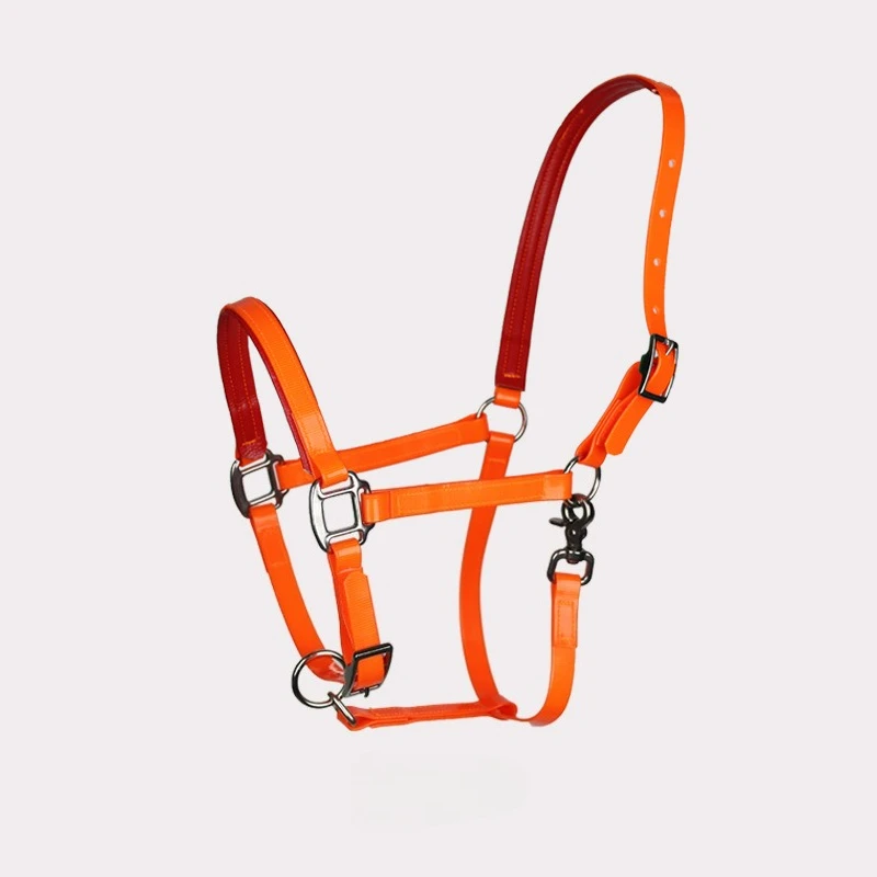 TPU Bridle Stainless Steel Fittings Size L Adjustable and Durable Equestrian Equipment for Leading Horses