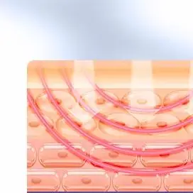 목 얼굴 미용 기기 7색 라이트 LED 광선 요법 피부 탄력 강화 이중턱 감소 주름 방지 페이셜 리프팅 마사지기