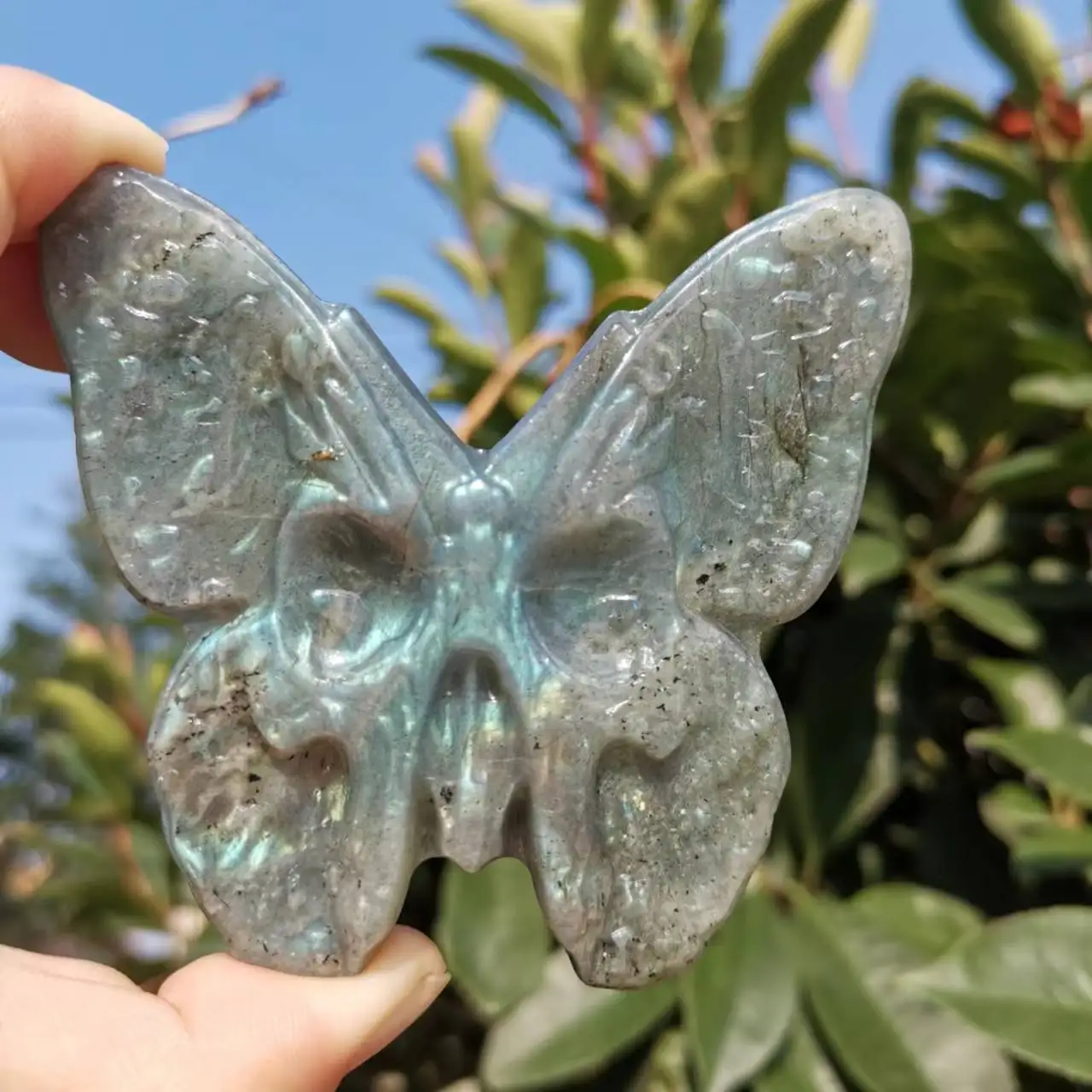 Natural Labradorite Carved Butterfly Skull Shape quartz crystal Skull Butterfly
