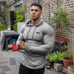 Spring Autumn Mens Running Hooded T-shirts Thin Ribbed Knitted Sports Sweaters Classic Strip Slim Gym Fitness Pullover T Shirts
