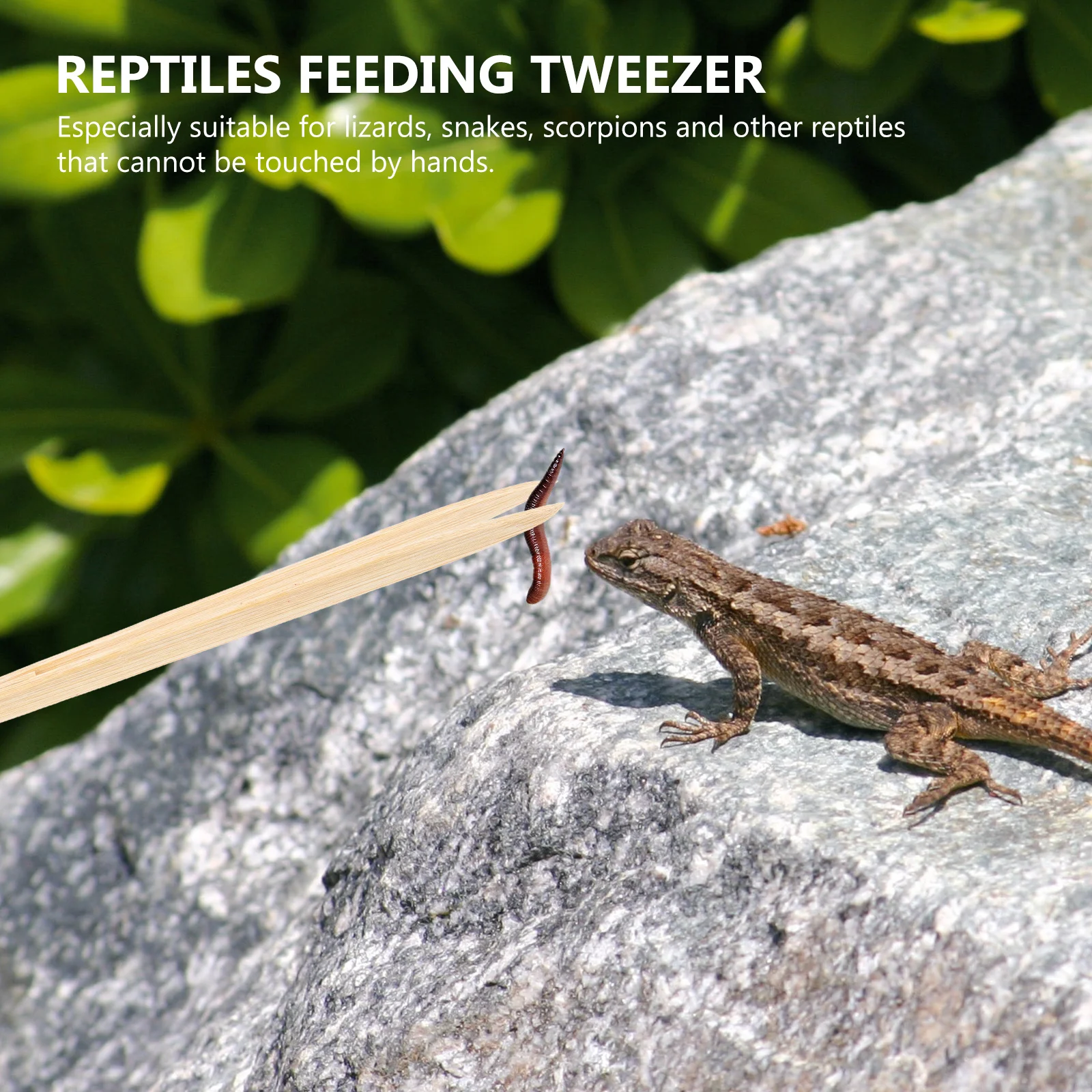 

Bamboo Feeding Tweezers Lightweight Reptile Food Clip For Terrarium Pets Crawling Pet Accessory Tool Reptile Feeding Tongs