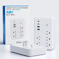 AM Hot Sales Gosund US Standard Wifi Smart Socket  Smart Life Google Home Alexa Mini Smart Plug 10A Rated Current