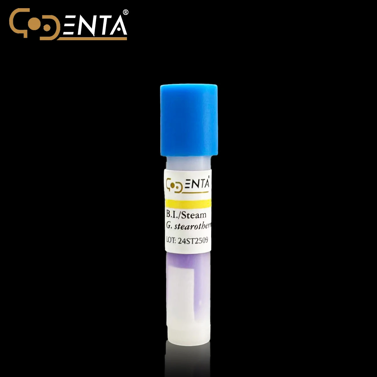 Dental Autoclave Sterilization Biological Indicator, 24H Rapid Readout Spore Test Strips for Steam Sterilizer