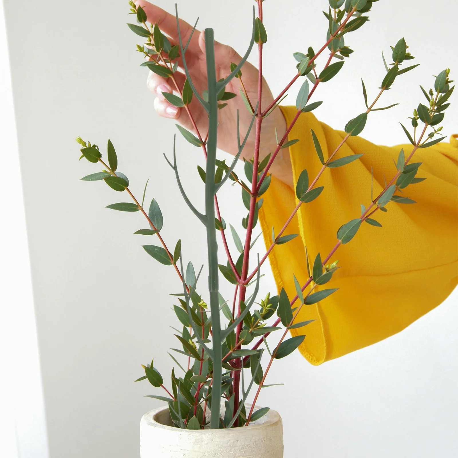 

2 pcs Plant Support Stakes Branch Shape Pp Material For Indoor Plants Garden Trellis Climbing Plants Flower Pot Stand Vine