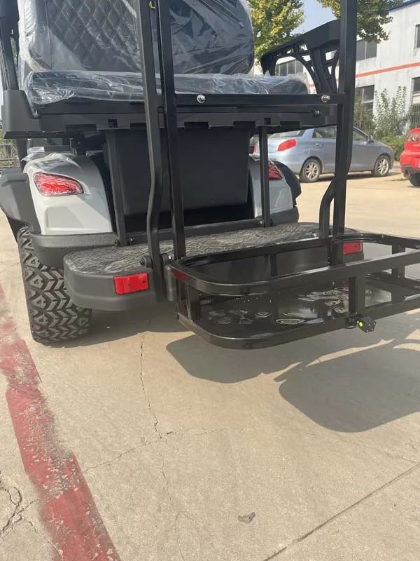 بيع المصنع مباشرة كرسي متحرك عربة جولف محرك عربة جولف كهربائية #6