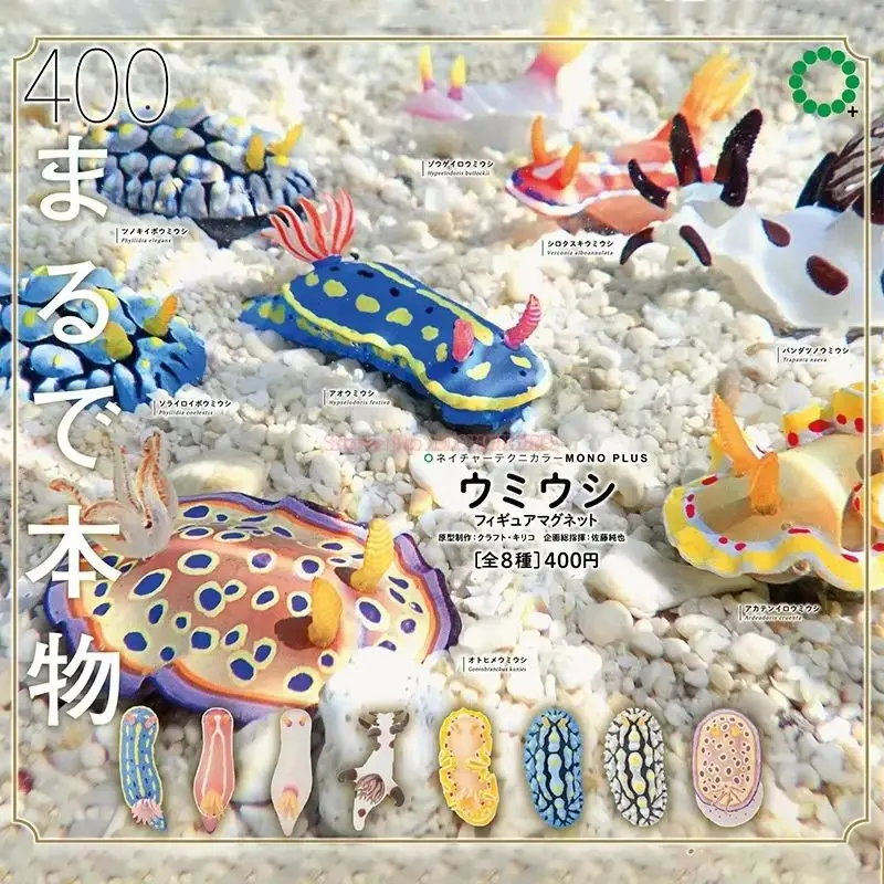 Ikimon Ntc해양 생물 불가사리 해마 시뮬레이션 모델 슬러그 수집용 모델 바다 슬러그 바다 토끼