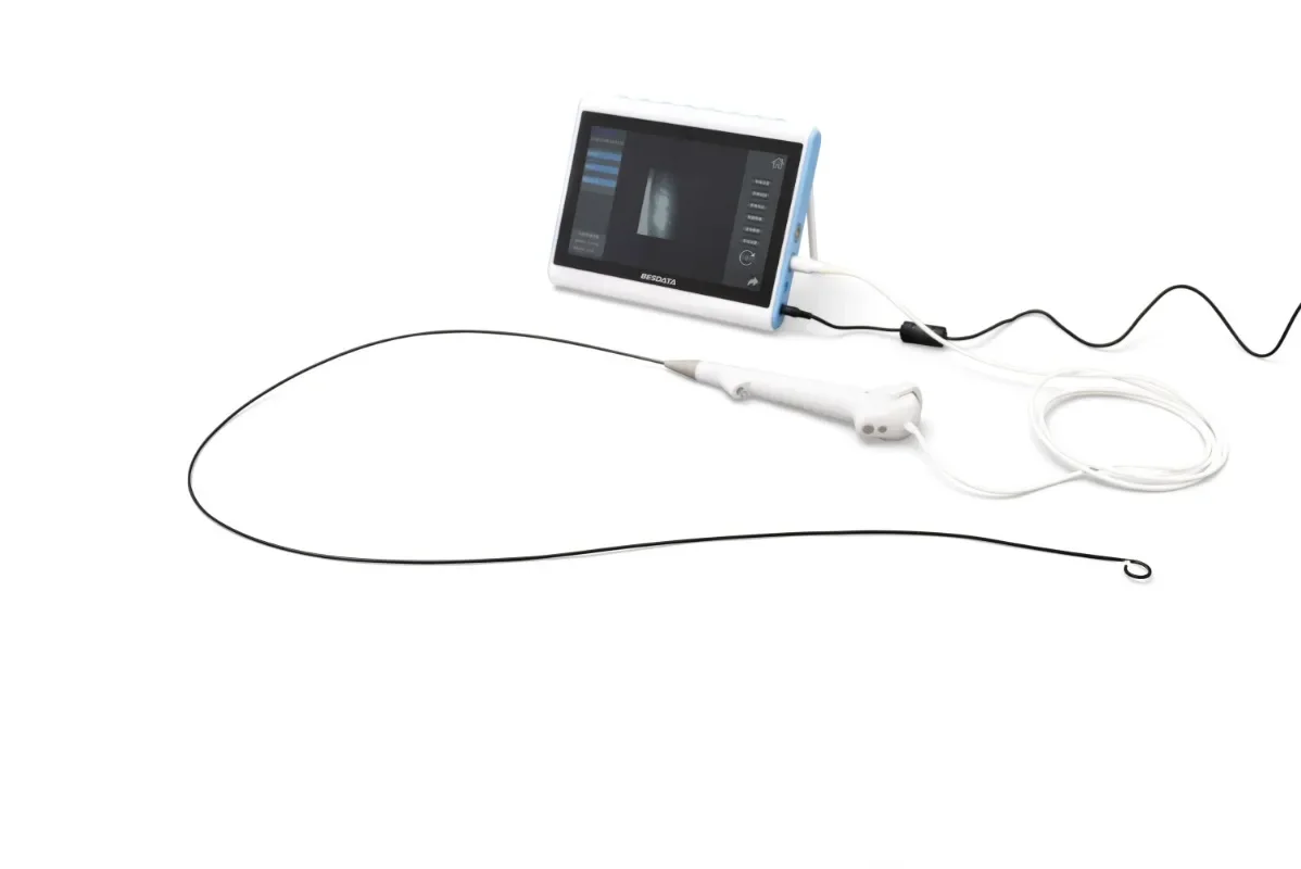 

Besdata Flexible Video Ureteroscope Disposable Digital Urological with USB adapter