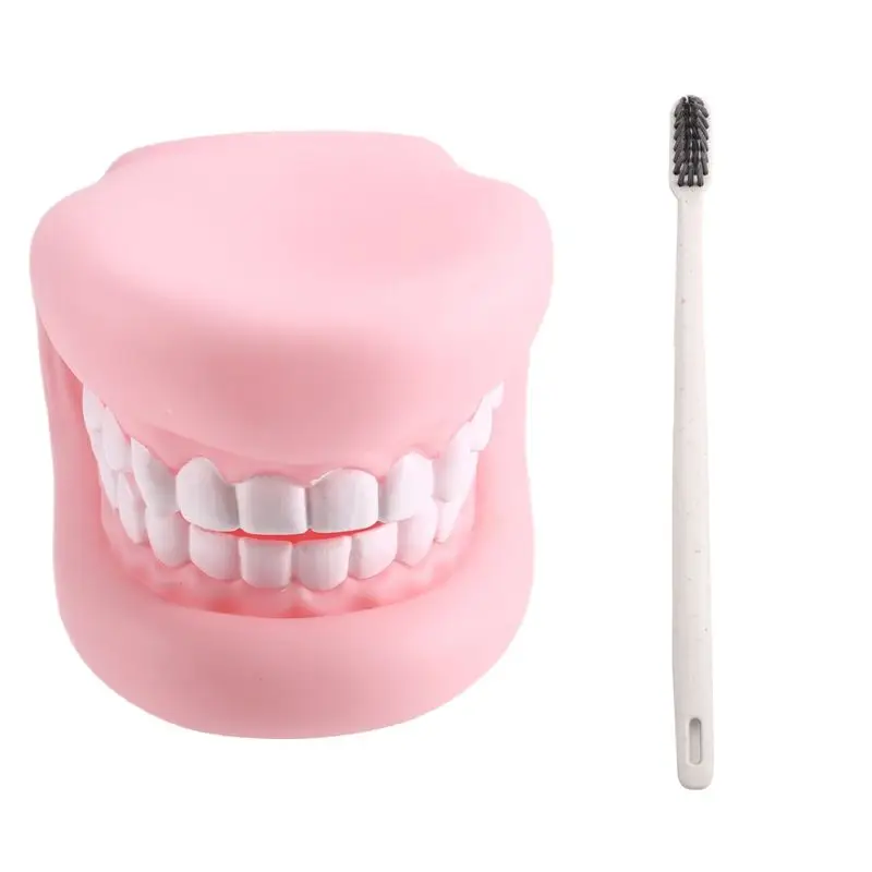 

DELAM-Educational Mouth Puppet With Tongue Teeth Hand Model For Boy Girl Including Toothbrush Tool