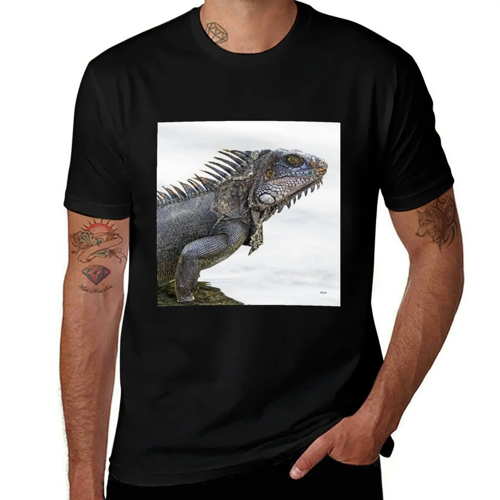 

Iguana, squared T-Shirt Work Basic Short Sleeve Top
