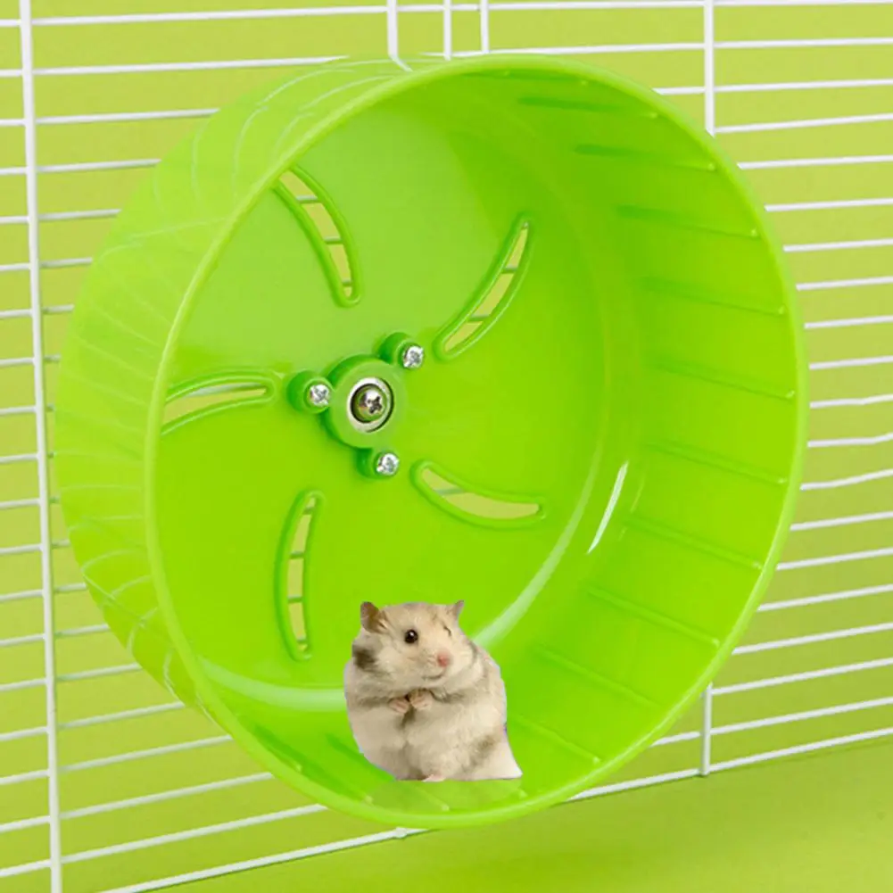 Thumbnail 2 - #6 Hamster Exercise Wheels List of Top Picks