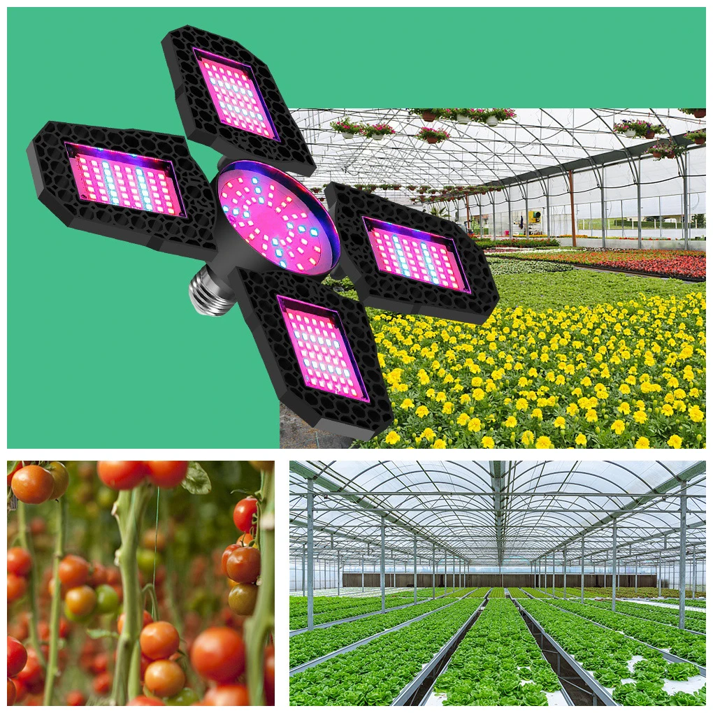 Folding LED Grow Light, Vermelho Interior, Espectro Azul, Suculento Crescer Luz, Cultivo De Sementes De Flores De Vegetais