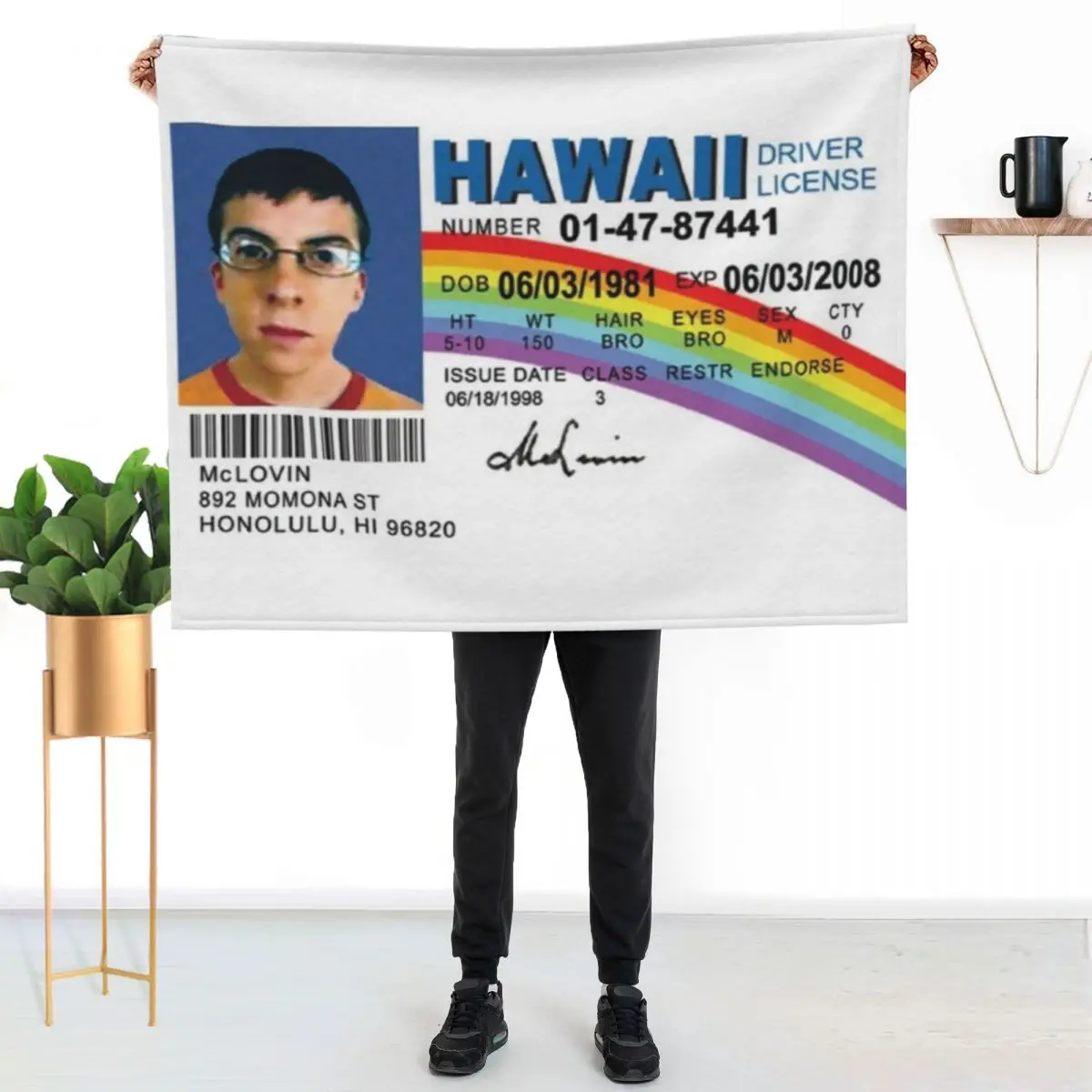 McLovin Fake ID Design Throw Blanket Sofa Picnic Luxury Thicken Soft Beds Luxury Designer Decorative Sofa Blankets