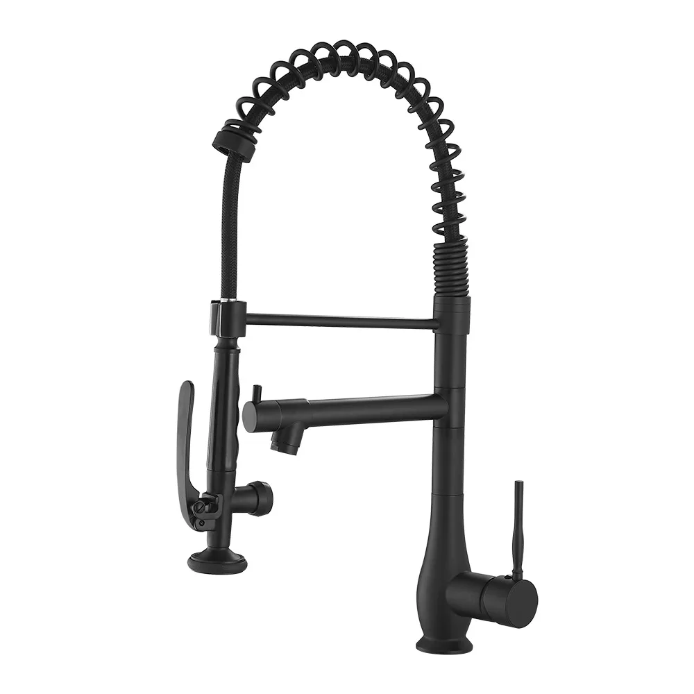 

Black paint kitchen pull faucet