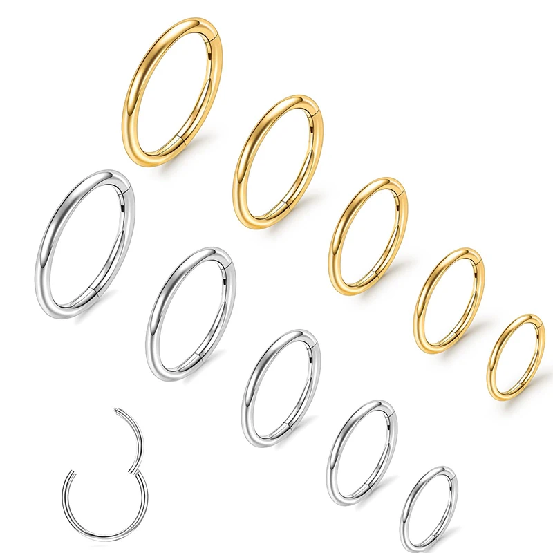 6pcs 316L Surgical Steel Hoop Earrings, 16G 8mm Hypoallergenic Hinged Segment Helix Cartilage Rook Earrings Nose Rings Hoops