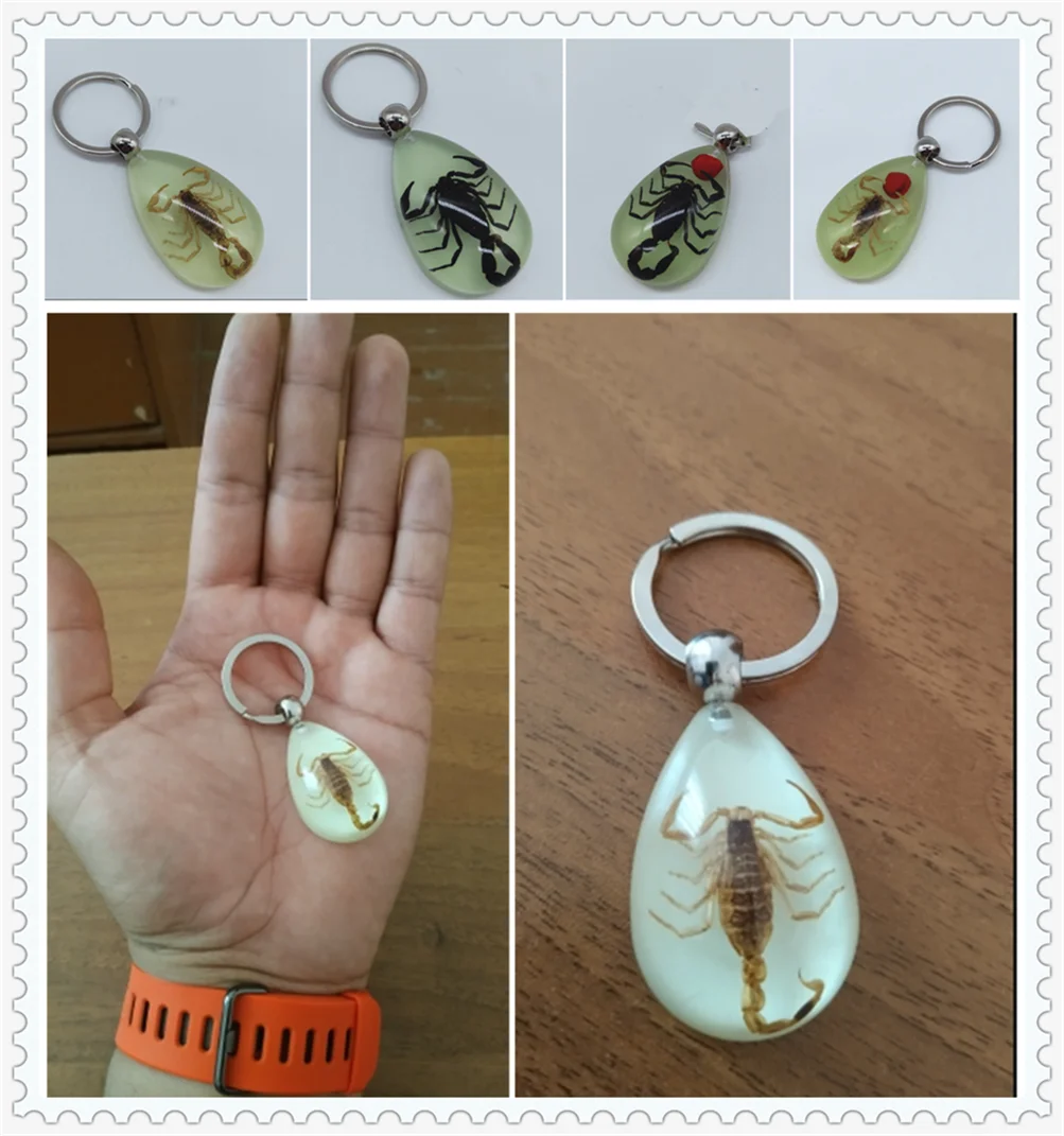 Motorcycle style scorpion luminous wear key chain crafts accessories for 1200 SPORT AUDACE BREVA 1100 750 850 1100 1200 RoameR