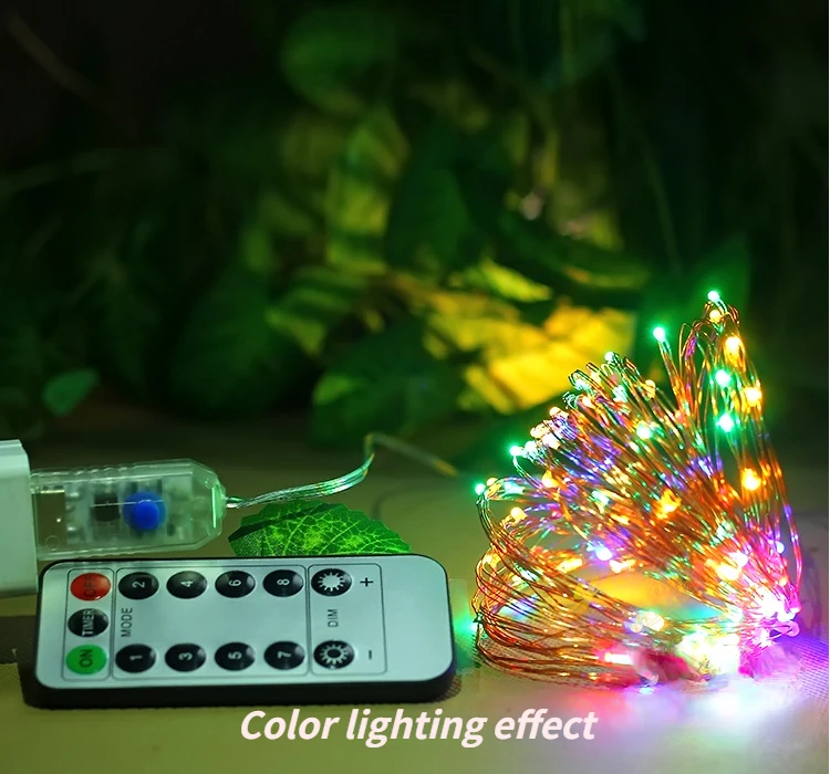 led copper wire light string remote control wedding outdoor Christmas Halloween decorative light string