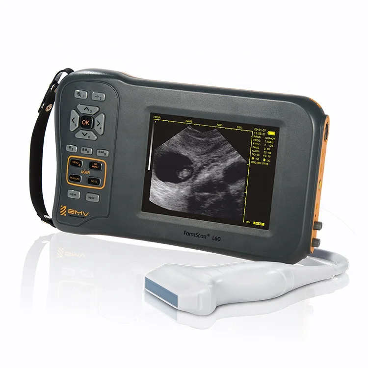 Portable Ultrasound Machine particularly good for Pig-Sheep-Goat fertility and reproduction work diagnosis Veterinary