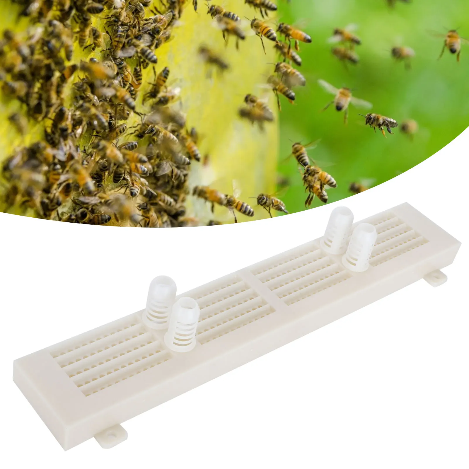 5 Rows Pollen Collector Tray Beekeeping Plastic Pollen Trap Collect Box Bee Keeping Accessories