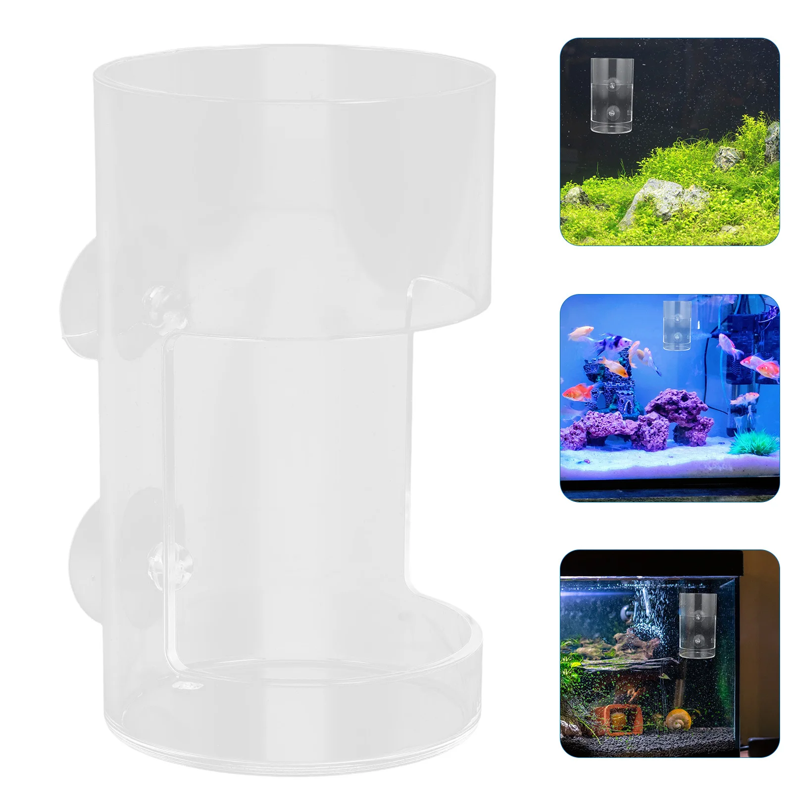 

Fish Tank Feeder Transparent Acrylic Shrimp Betta Easy Attach Suction Cup Feeding Device Shrimp Feeder Acrylic Fish Feeding Dish