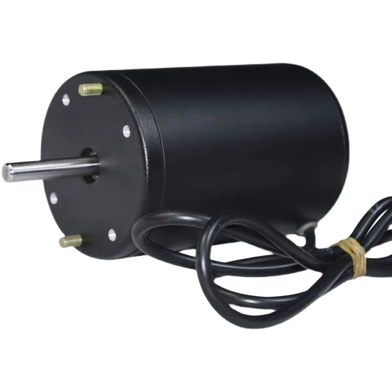 12-24V 300W Double Bearing Reversible DC Carbon Brush Generator High Power Wind Hydraulic Hand Crank Motor