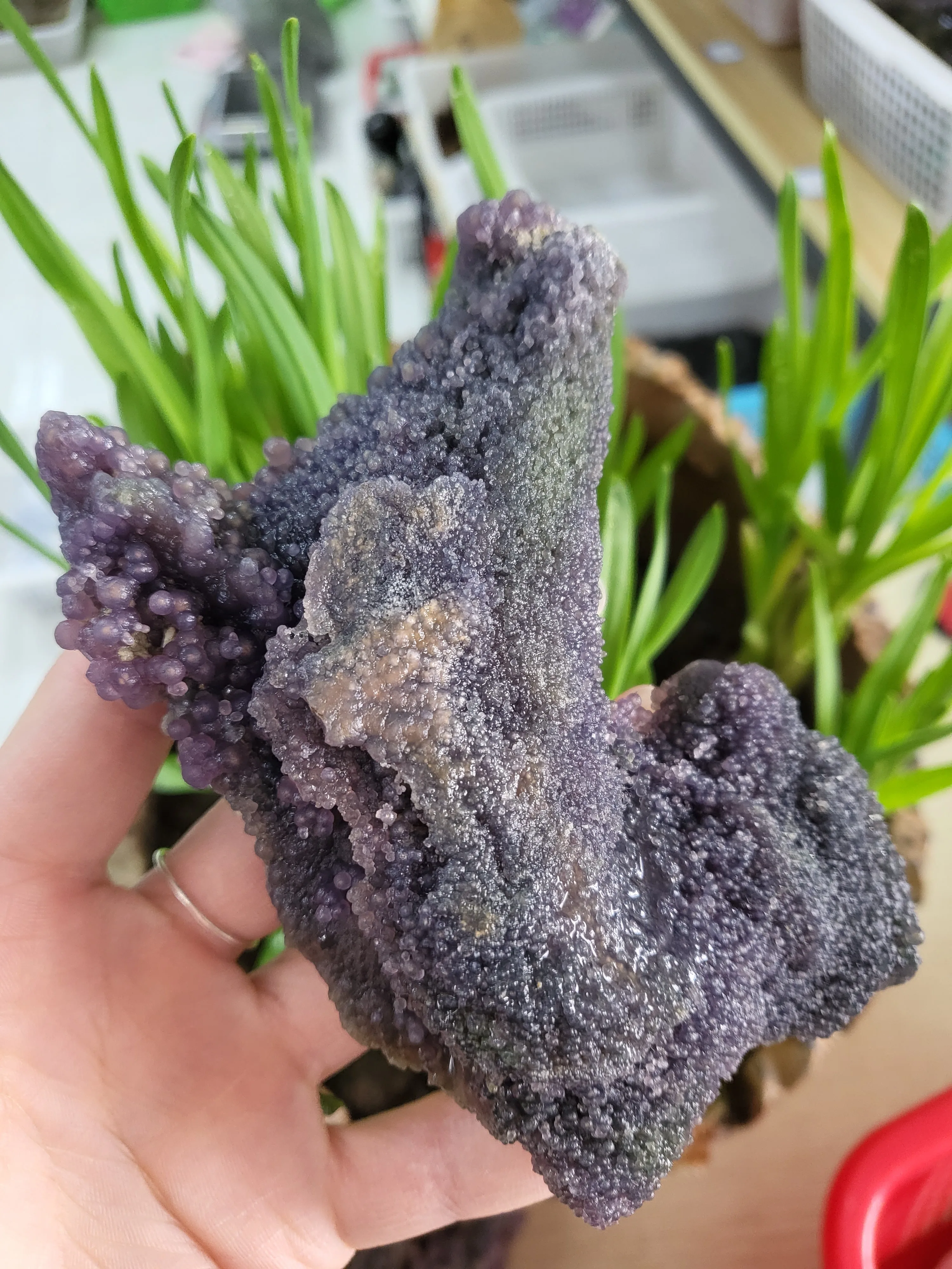 Natural Grape Agate Crystal Mineral Specimen, Home Decor