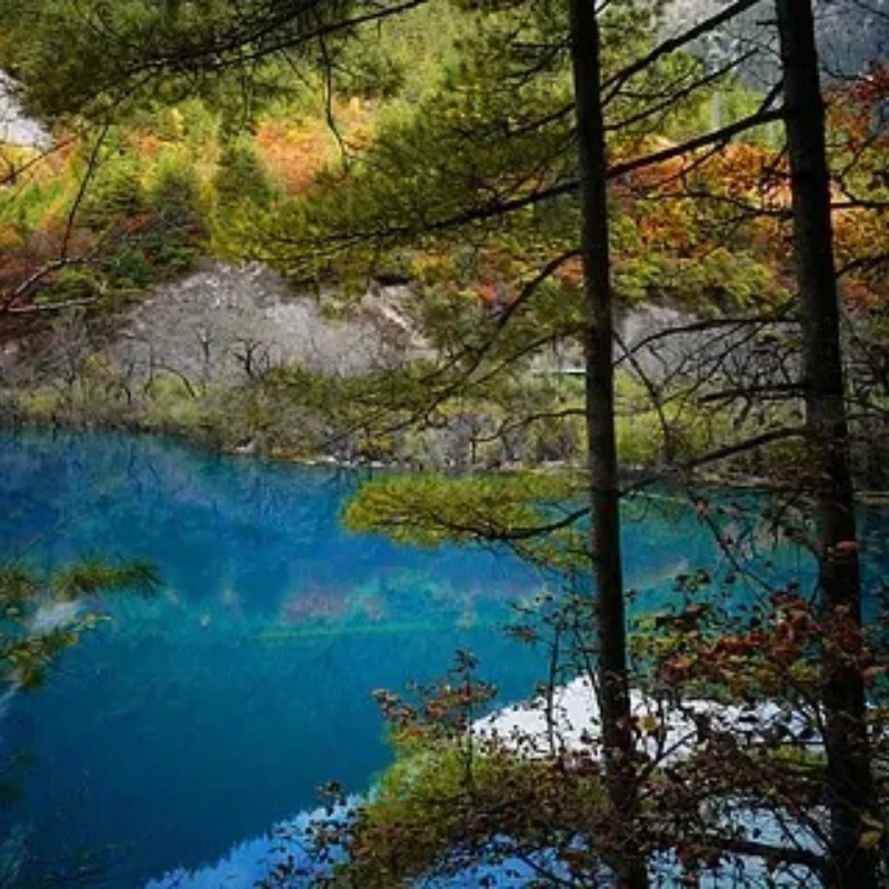 

GEPRC EM2812 2812 MOTOR 900KV 6S LiPo for FPV Freestyle 7-9inch Long Range Drones DIY Parts