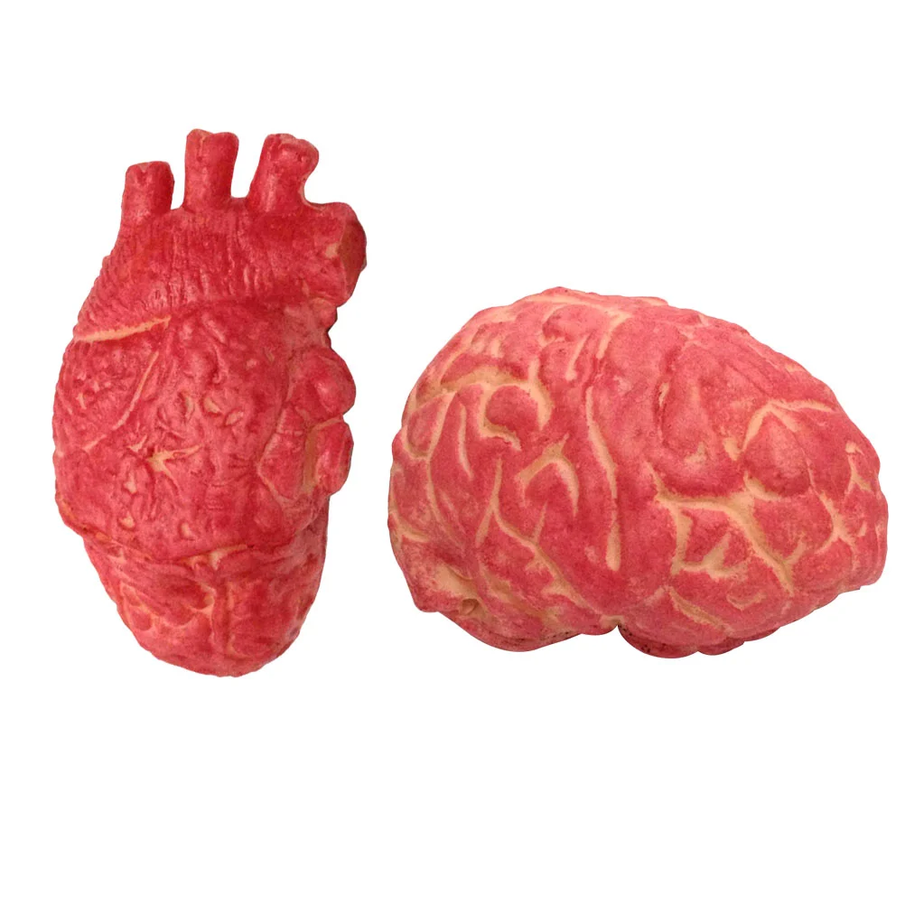Broken Blood Brain Dead Bloody Body Simulation Heart Prop Props Halloween Organ Realistic