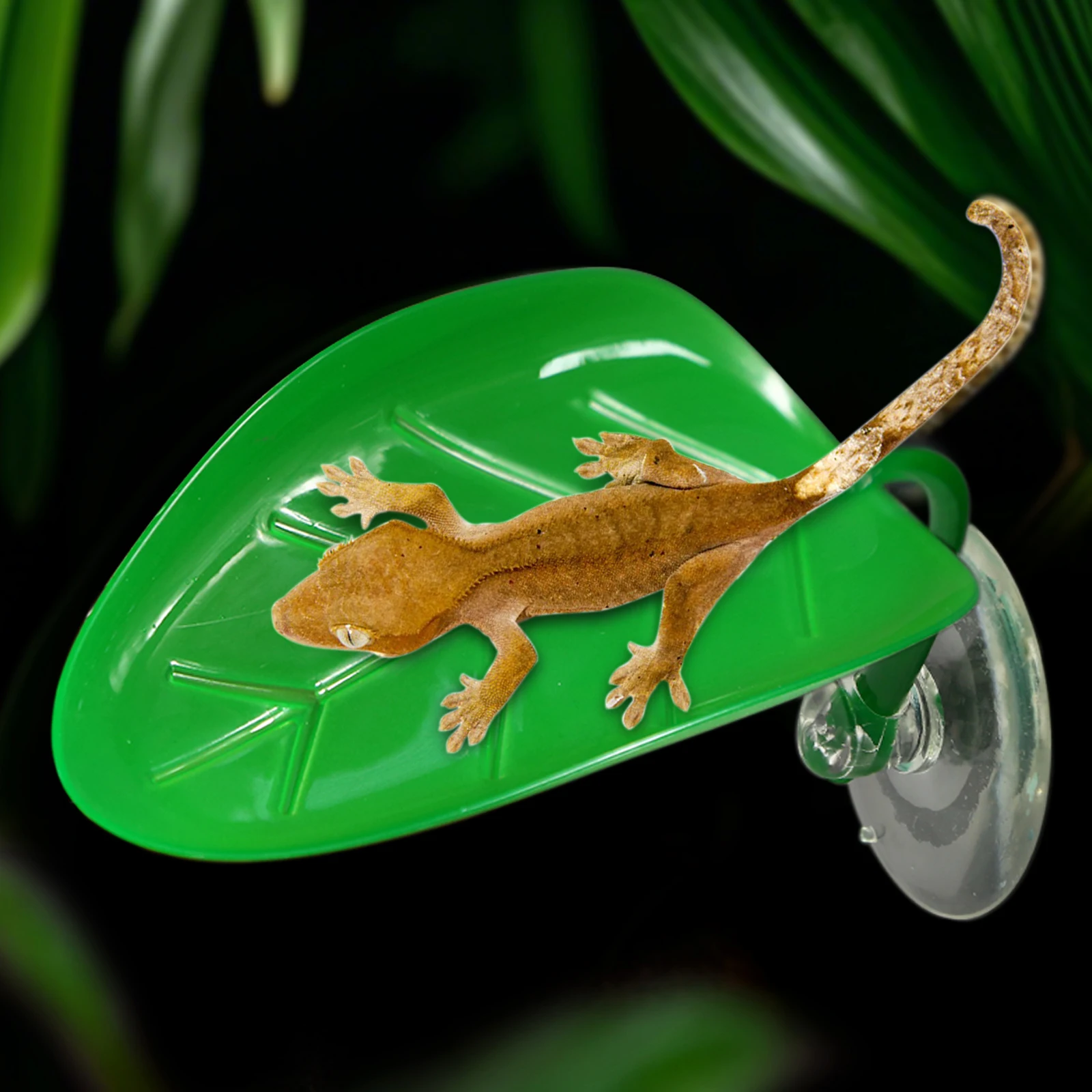 5 قطع، أوراق نباتية مقلدة مع أكواب شفط، مناسبة للجيكو والحرباء والضفادع للتسلق والسكن #4