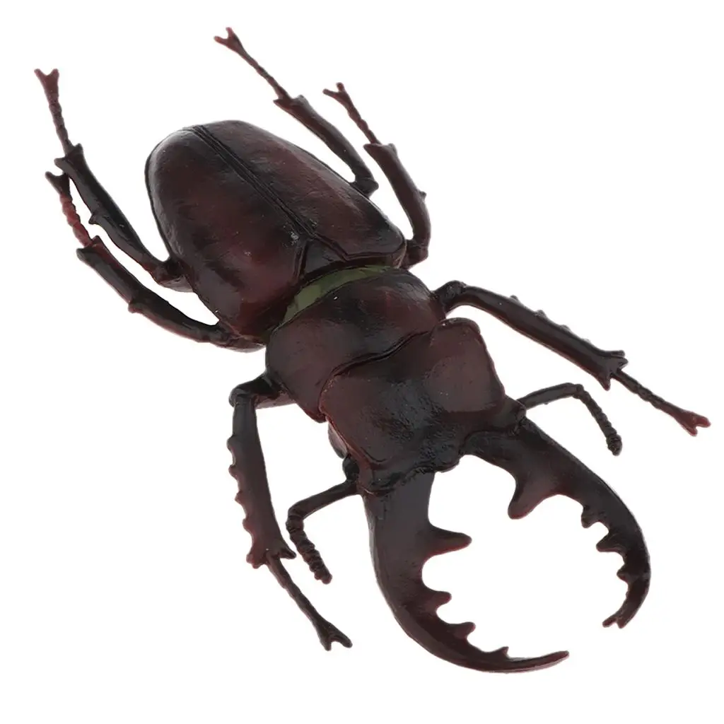 Simulation Plastic Bug Figurine Toys for Kids Educational Early Learning Animal Figures Classroom Play