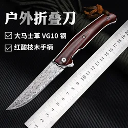 VG-10 de acero damasco con mango de palisandro, cuchillo de campo portátil, cuchillo multiusos para fruta