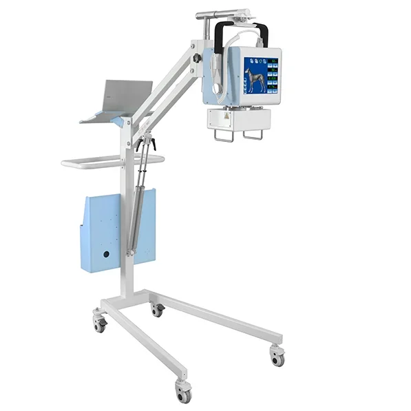 Medical Portable High Frequency 35KW Digital veterinary use x-ray machine animal use X ray Machine with good quality