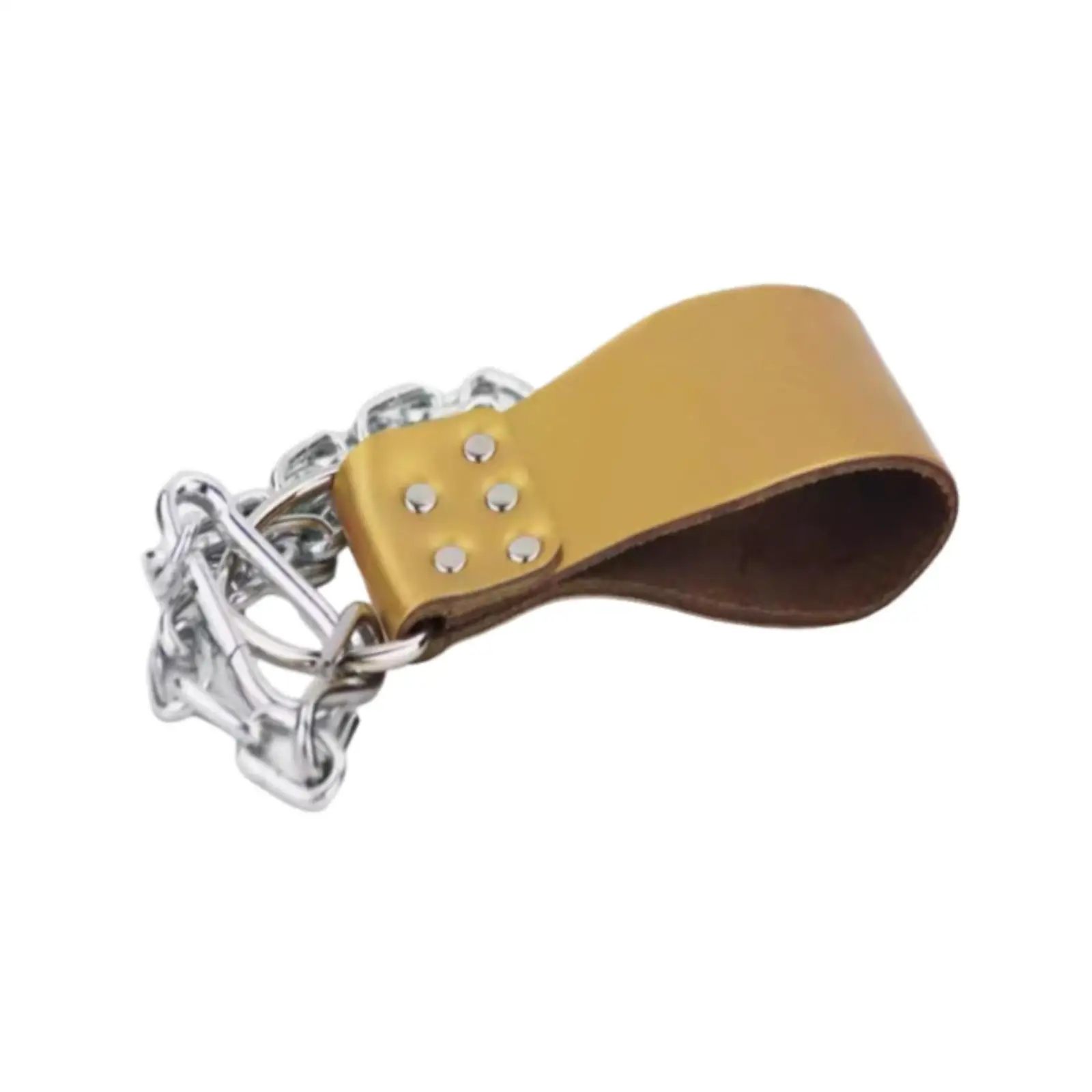 

Dumbbell Loading Strap with Iron Chain PU for Home Gym Lifting