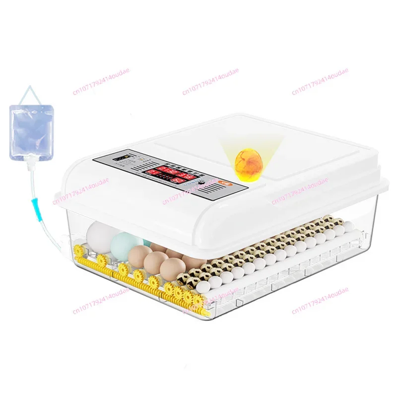 

110 В-240 В может использоваться, инкубатор на английском языке, автоматический домашний инкубатор, курица, утка и искусство