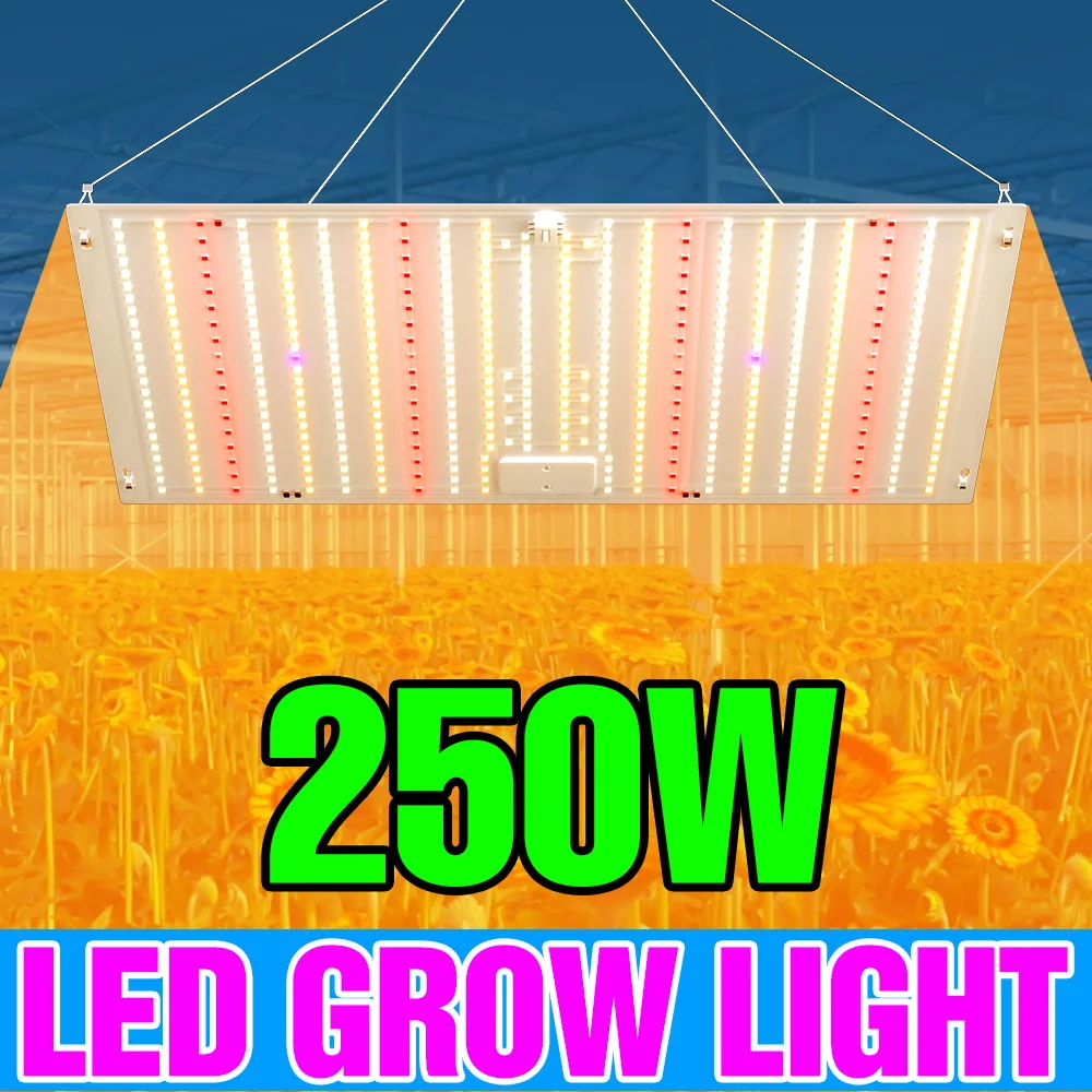 250W Full Spectrum Plant Grow Light LED Quantum Board Sapling Cultivation Lamp 220V Greenhouse Tent Vegetable Moss Fill Lighting