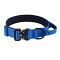 collar blue